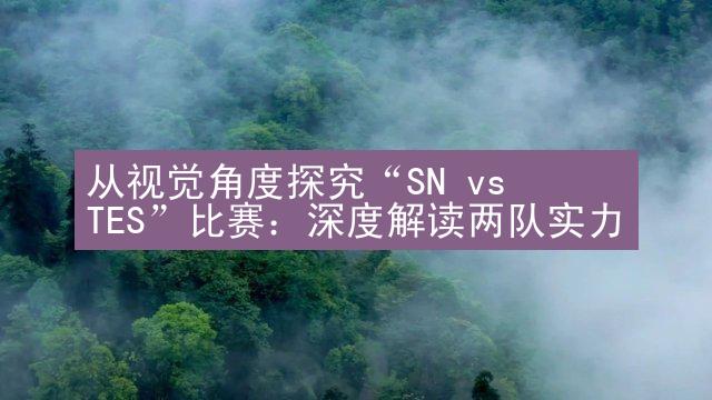 从视觉角度探究“SN vs TES”比赛：深度解读两队实力